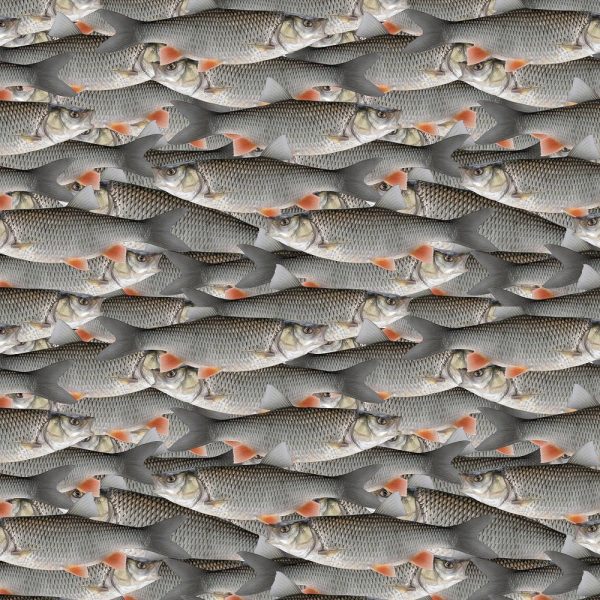 Packed Realistic Fish Fabric Online Sale